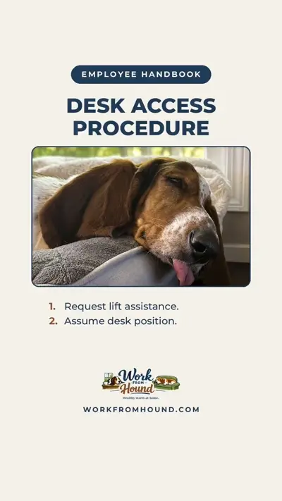 Pearl asleep on the desk in Desk Access Procedure