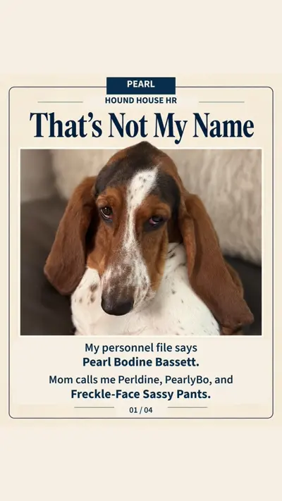 Pearl’s That’s Not My Name card from the published reel
