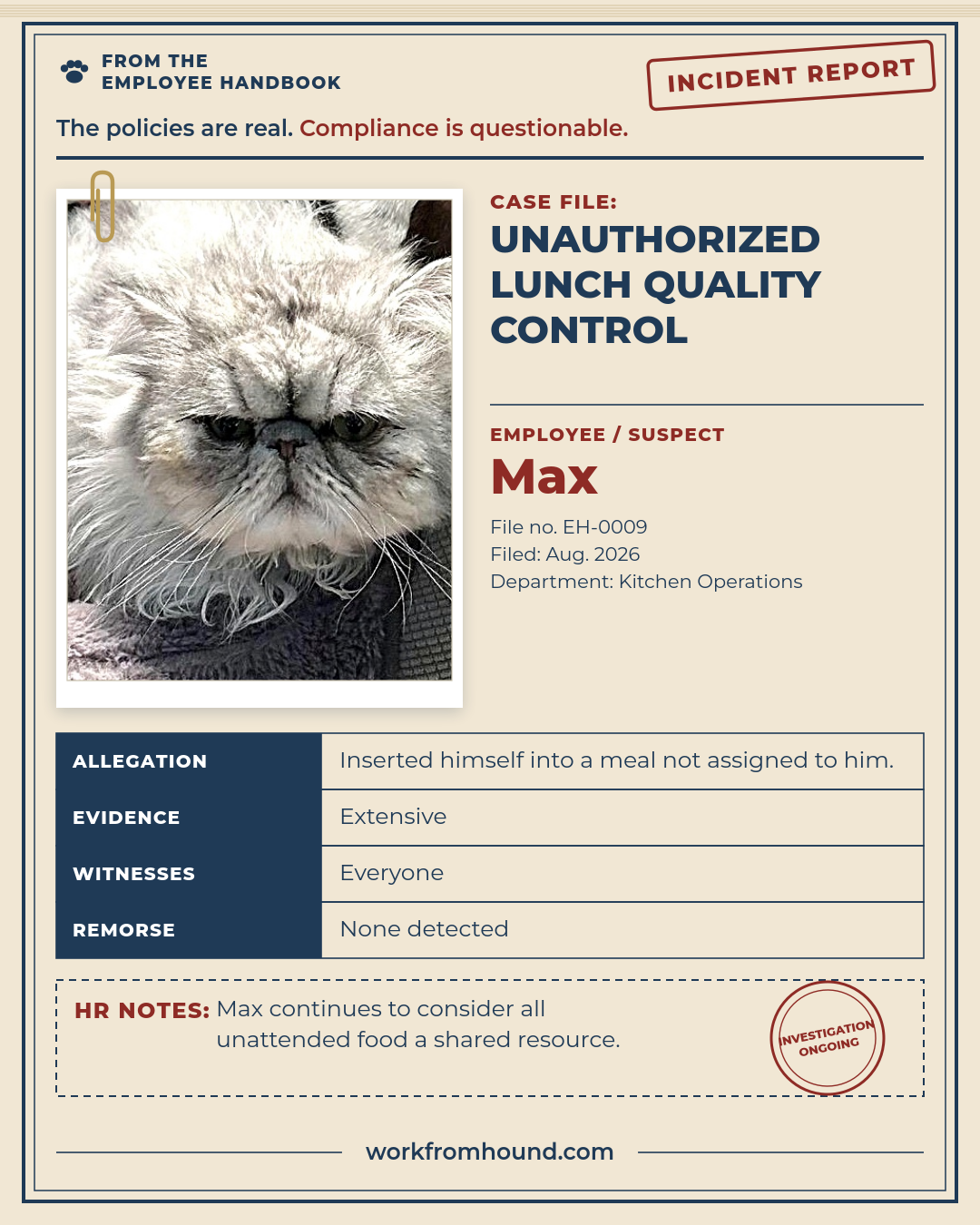 Max’s original unauthorized lunch incident report